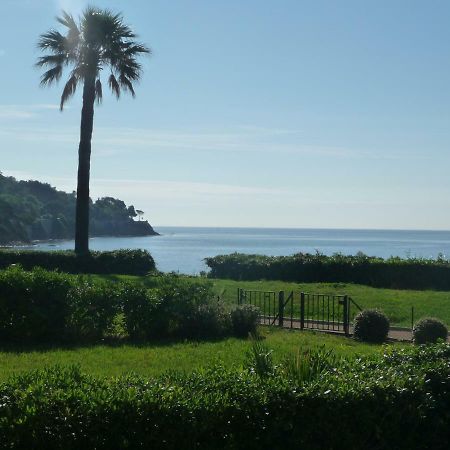 Grand Azur Etoile Marine Lägenhet Sainte-Maxime Exteriör bild